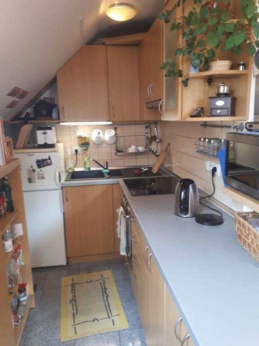 Byt 4+kk v klidné části obce Bedřichov Exterior foto